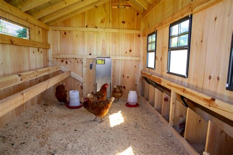 shed converted to chicken co-op